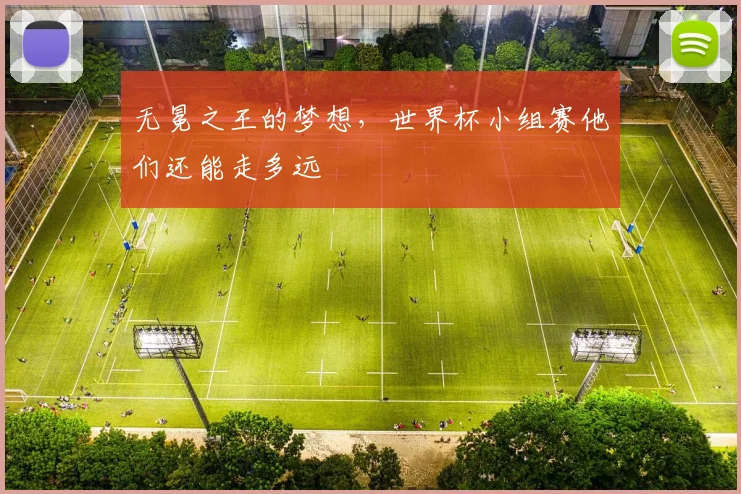 无冕之王的梦想，世界杯小组赛他们还能走多远